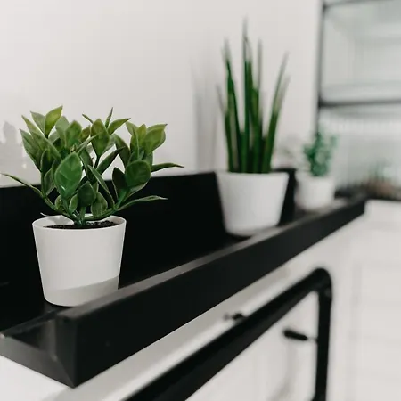 Little Universe Apartamento