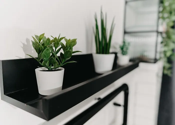 Little Universe アパート